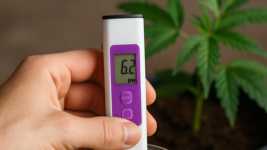 Cannabis richtig gießen & düngen: pH- und EC-Werte verstehen 🌱