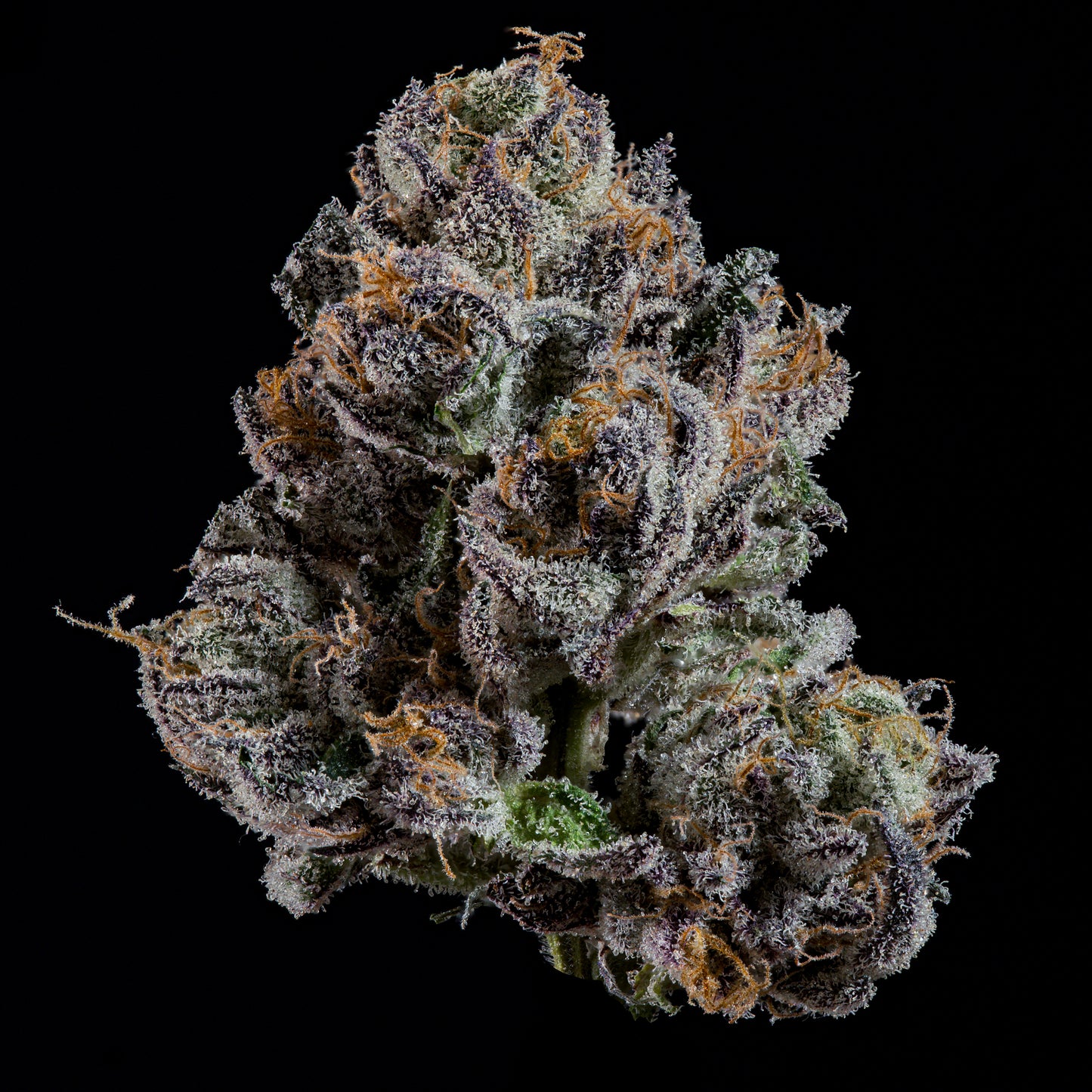 OG Hour