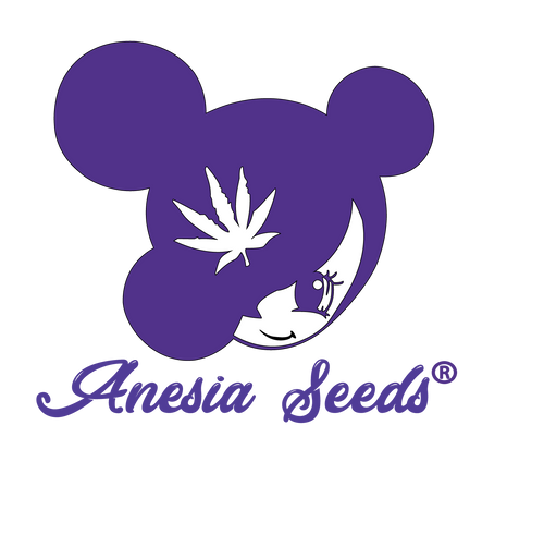 Breeder Logo Silent seed