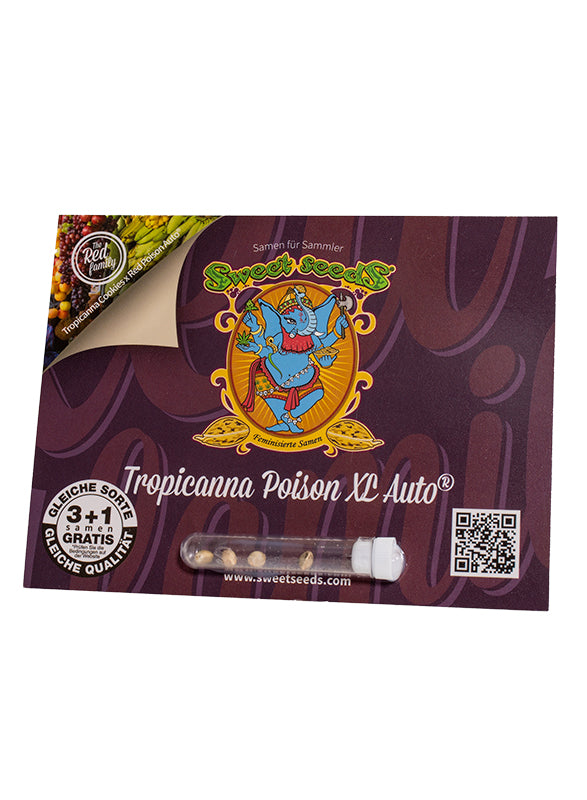 Tropicanna Poison XL Auto® (SWS95)