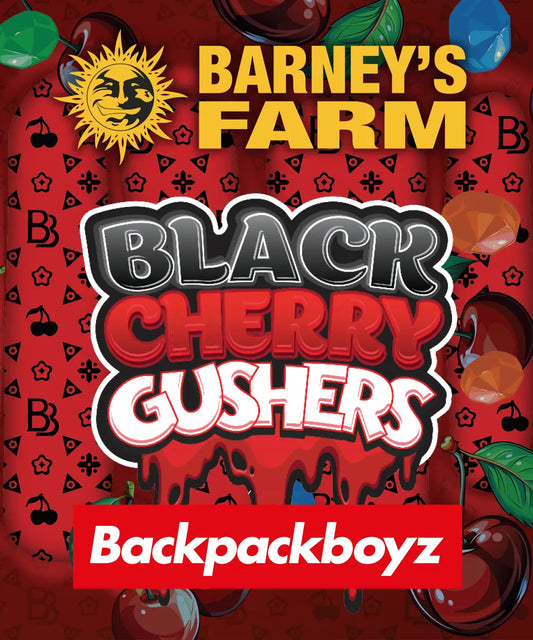 Black Cherry Gushers Strain