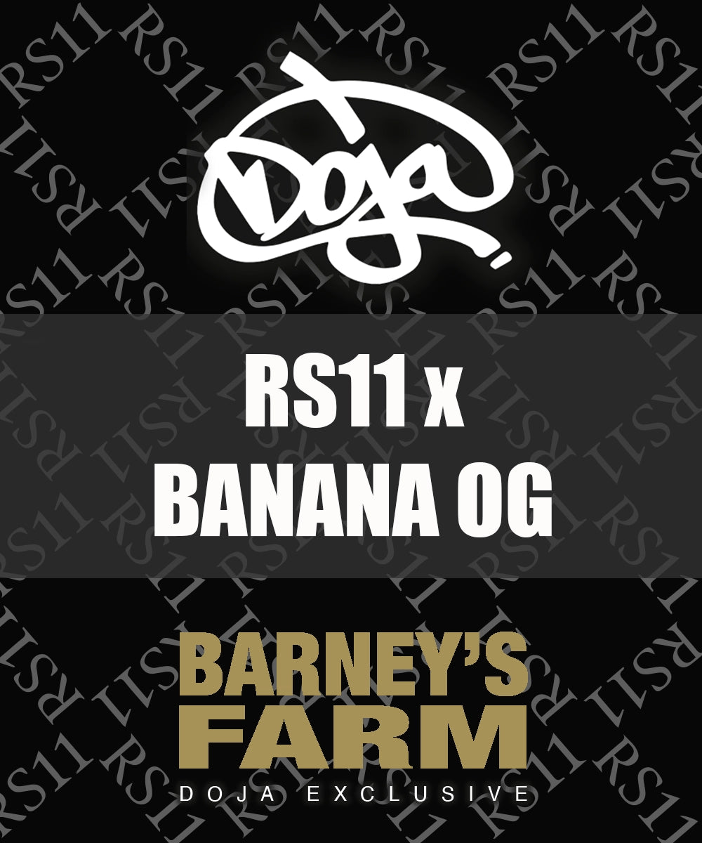 RS11 x Banana OG