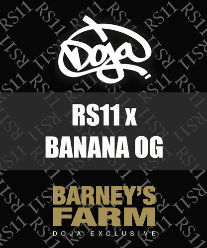 RS11 x Banana OG