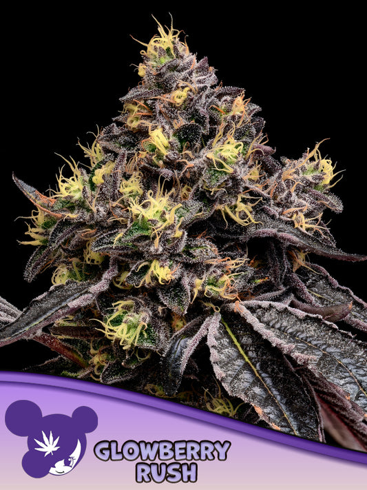 Glowberry Rush