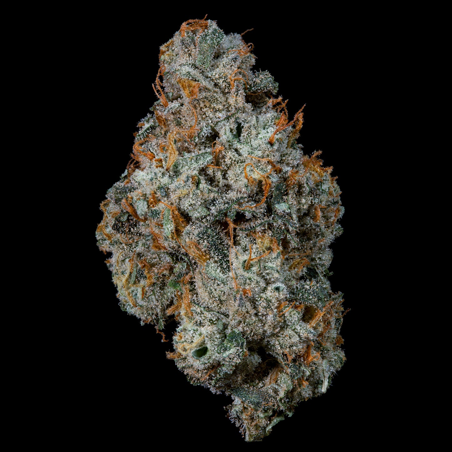 Fruit Fuel