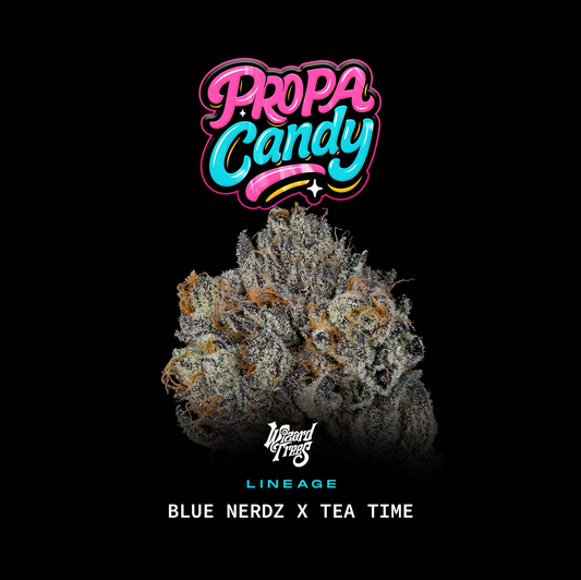 Propa Candy