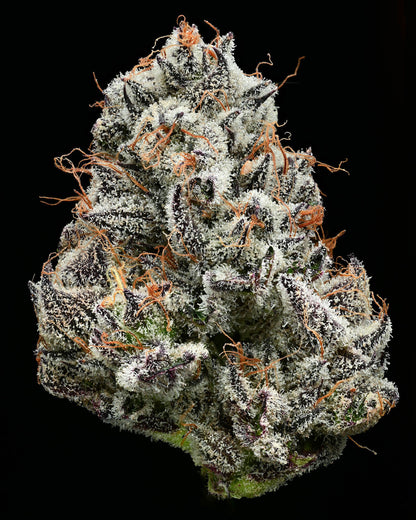 Black Cherry Gushers Strain