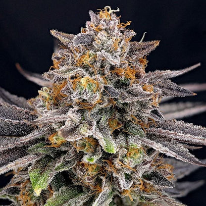 Candygaz