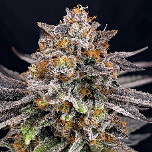 Candygaz